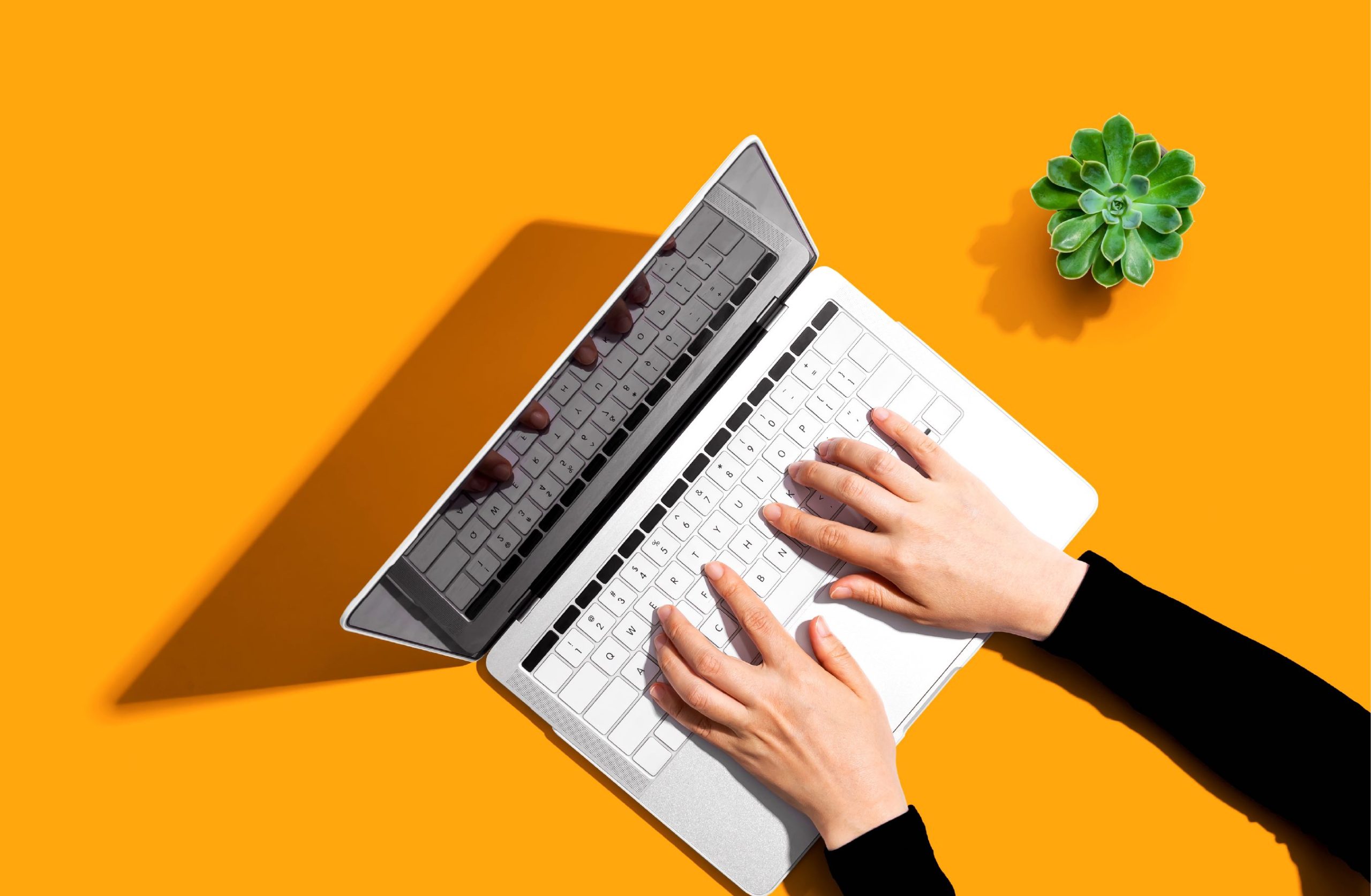 image of two hands typing on a keyboard on an orange table with a small indoor plant next to the laptop